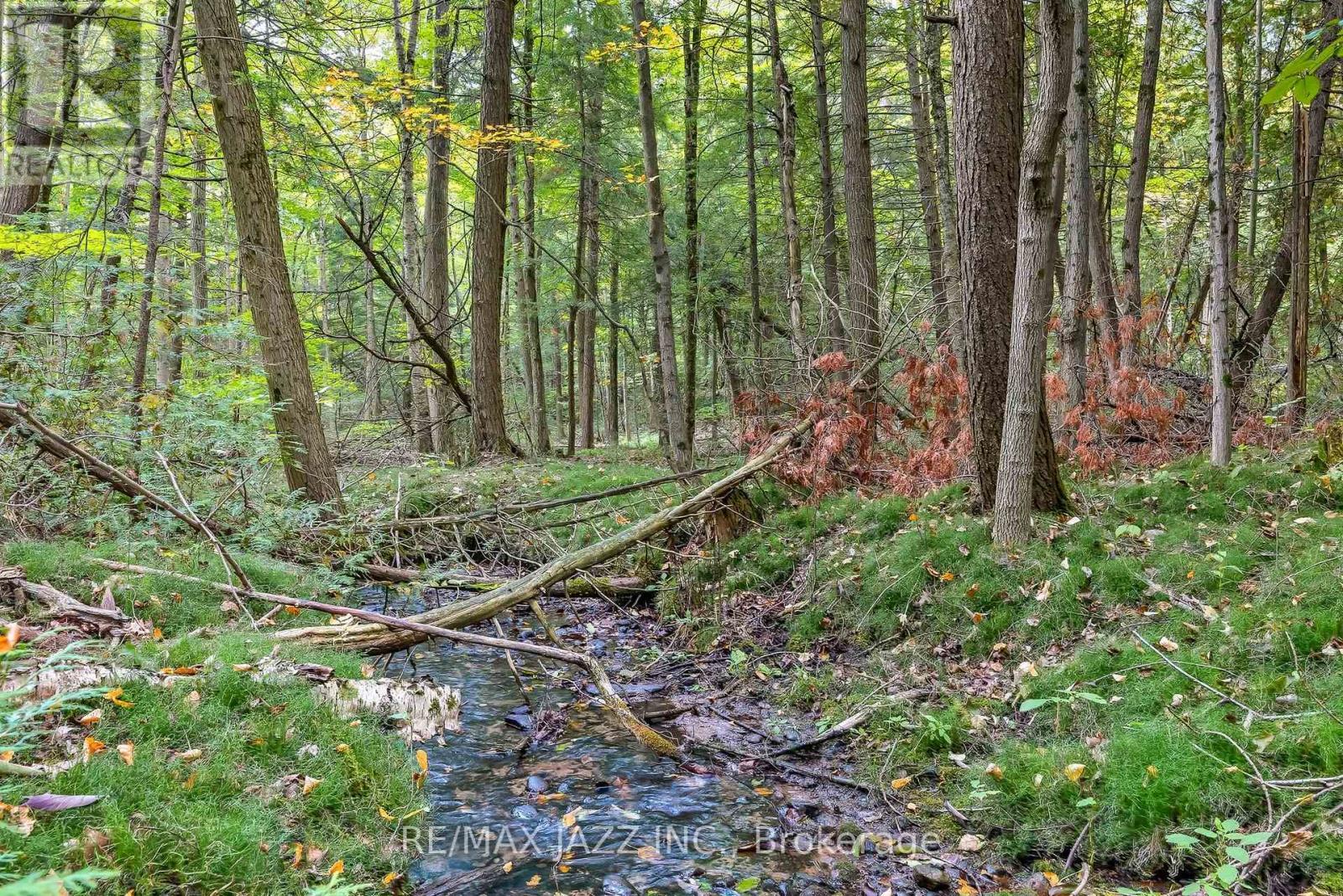 9500 Grasshopper Park Road, Clarington, ON - Outdoor With View