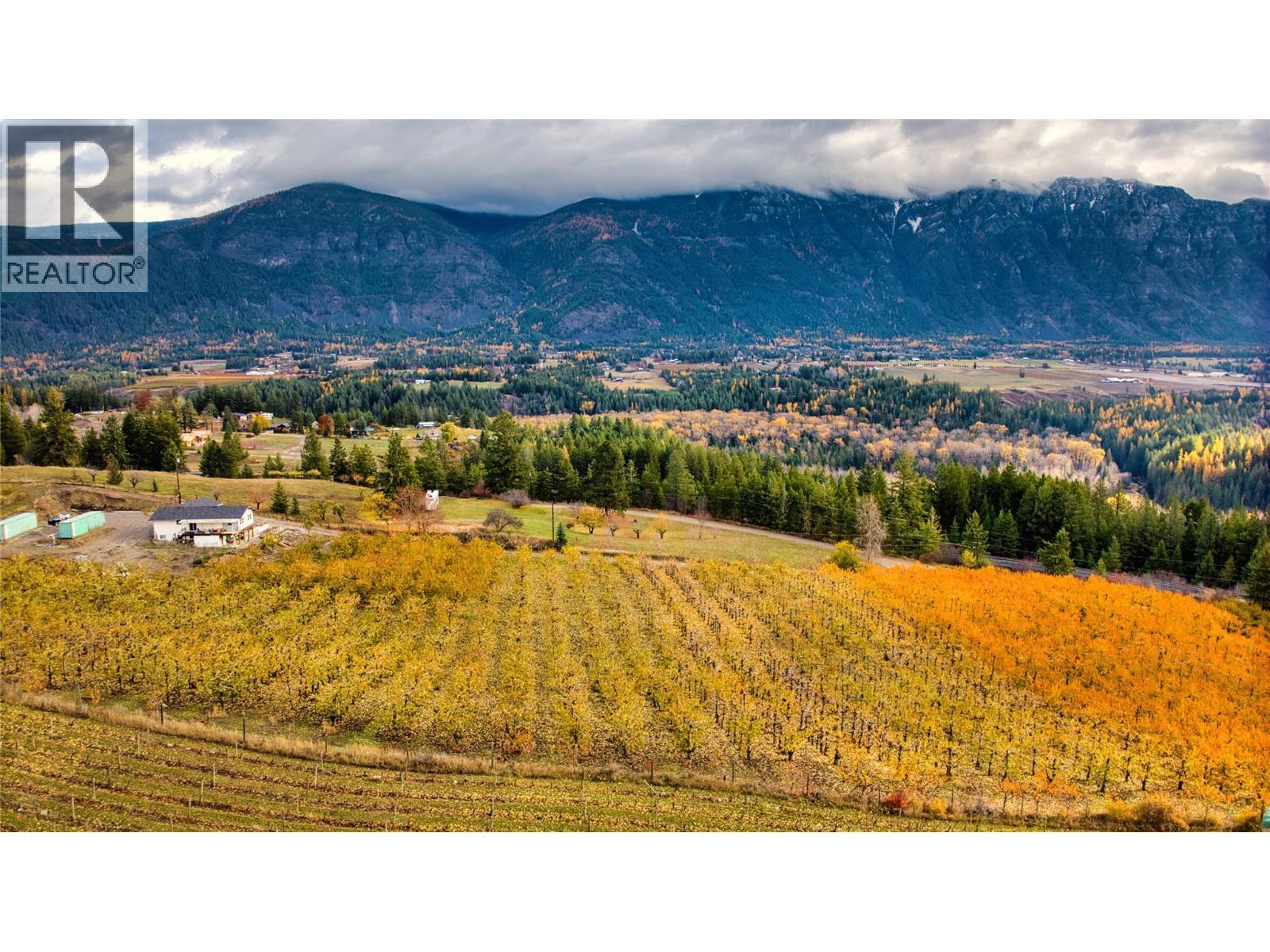 1237 32Nd S Avenue, Erickson, BC - Outdoor With View