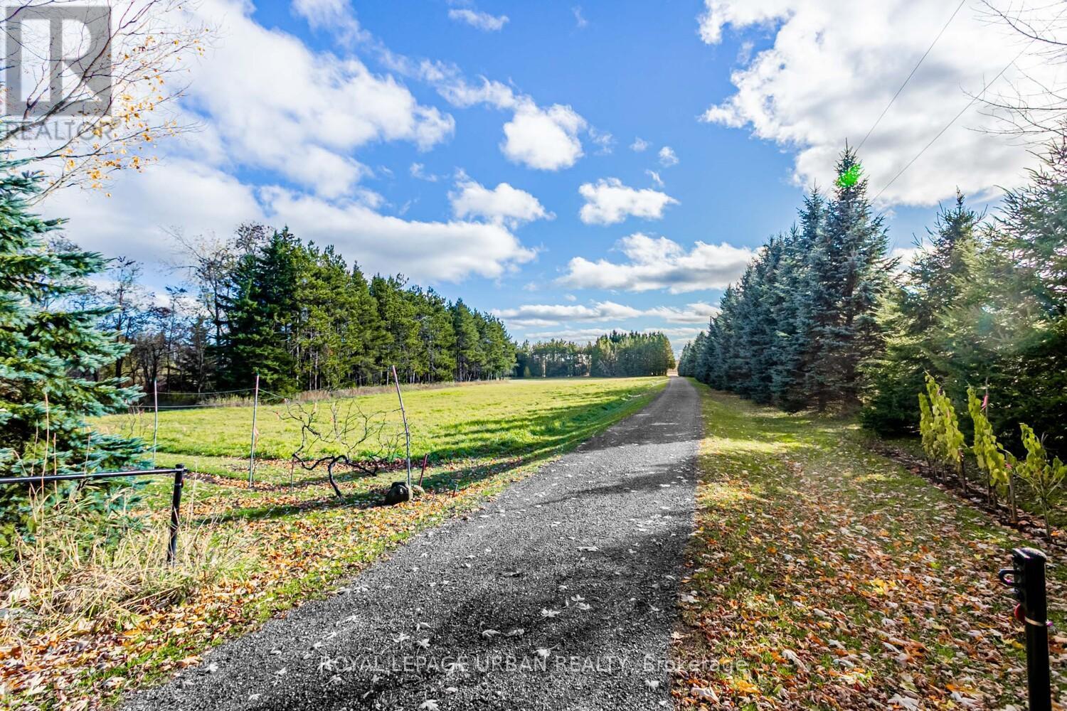 427371 25 Sideroad E, Mono, ON - Outdoor With View