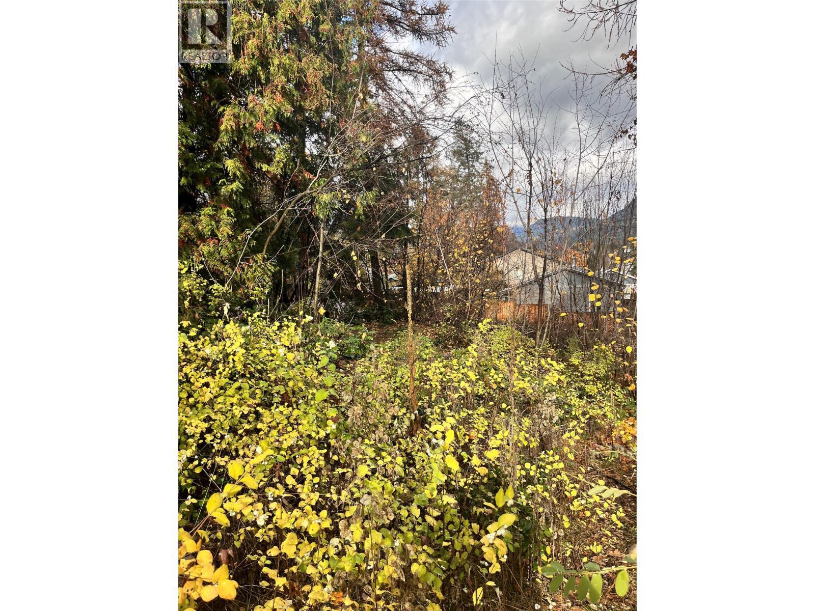 Lot B 9Th Avenue, Castlegar, BC