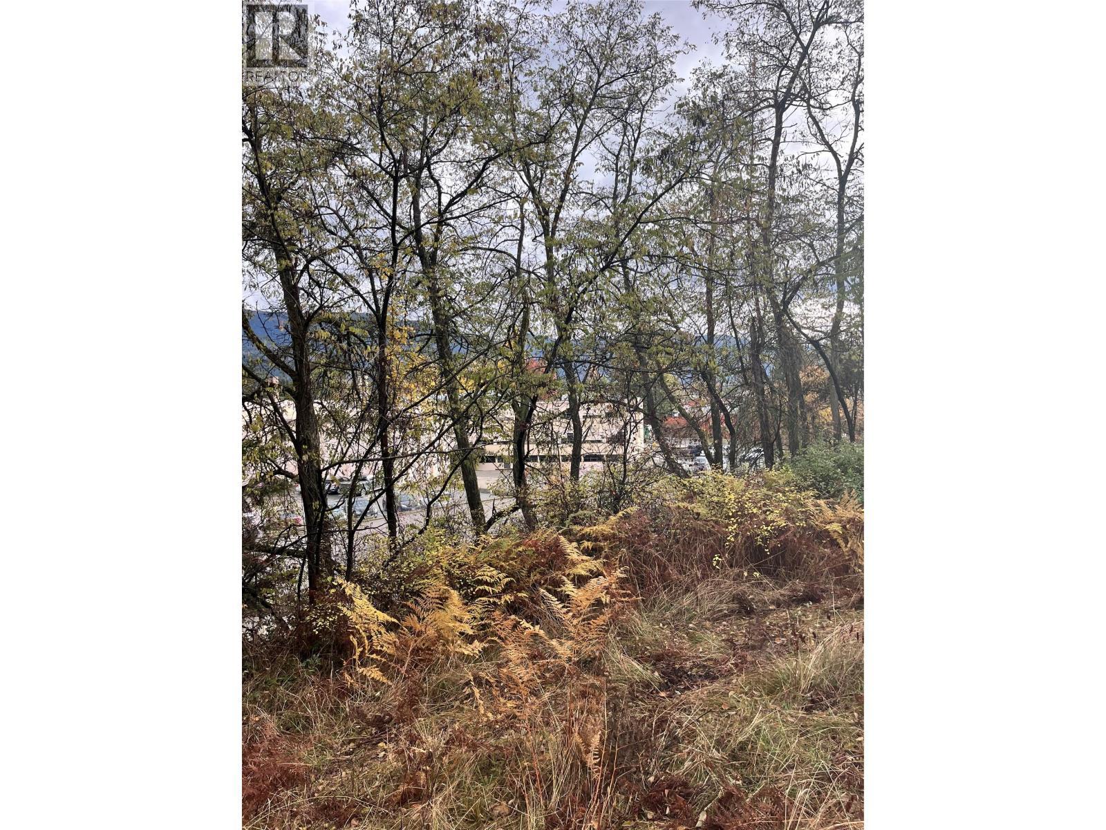 Lot B 9Th Avenue, Castlegar, BC