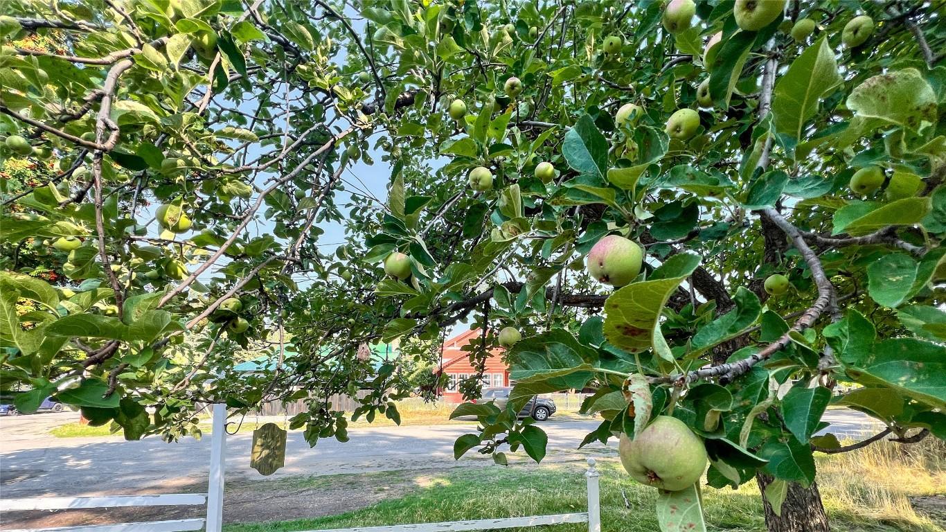 250 Otis Street, Kimberley, BC - Outdoor