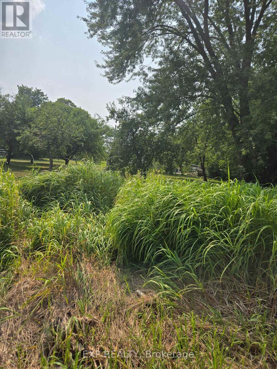 Welcome To Lot N/A Metro Road N! - N/A Metro Road N, Georgina, ON