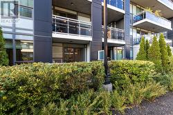 Terrace level suite -