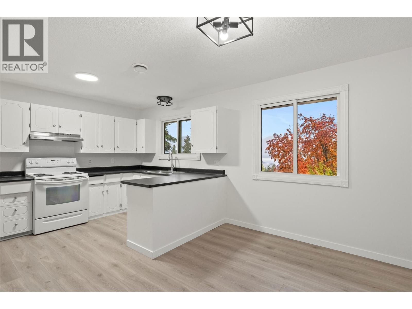 800 20Th Street Se, Salmon Arm, BC - Indoor Photo Showing Kitchen With Double Sink