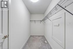 Spacious closet featuring light colored carpet -