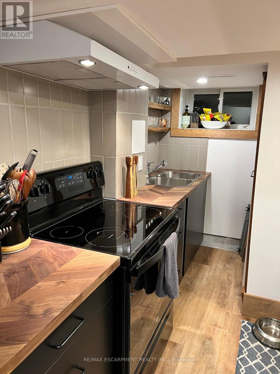 Lower - 306 Wexford Avenue S, Hamilton, ON - Indoor Photo Showing Kitchen With Double Sink