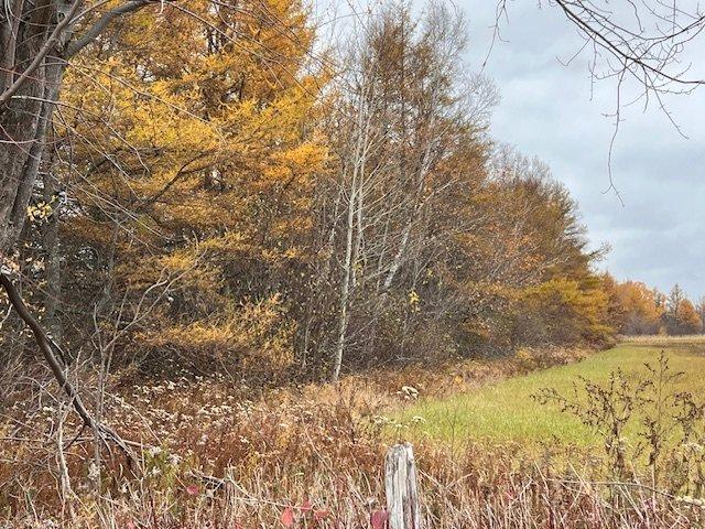 Wooded area - Route 132 E., Hope Town, QC