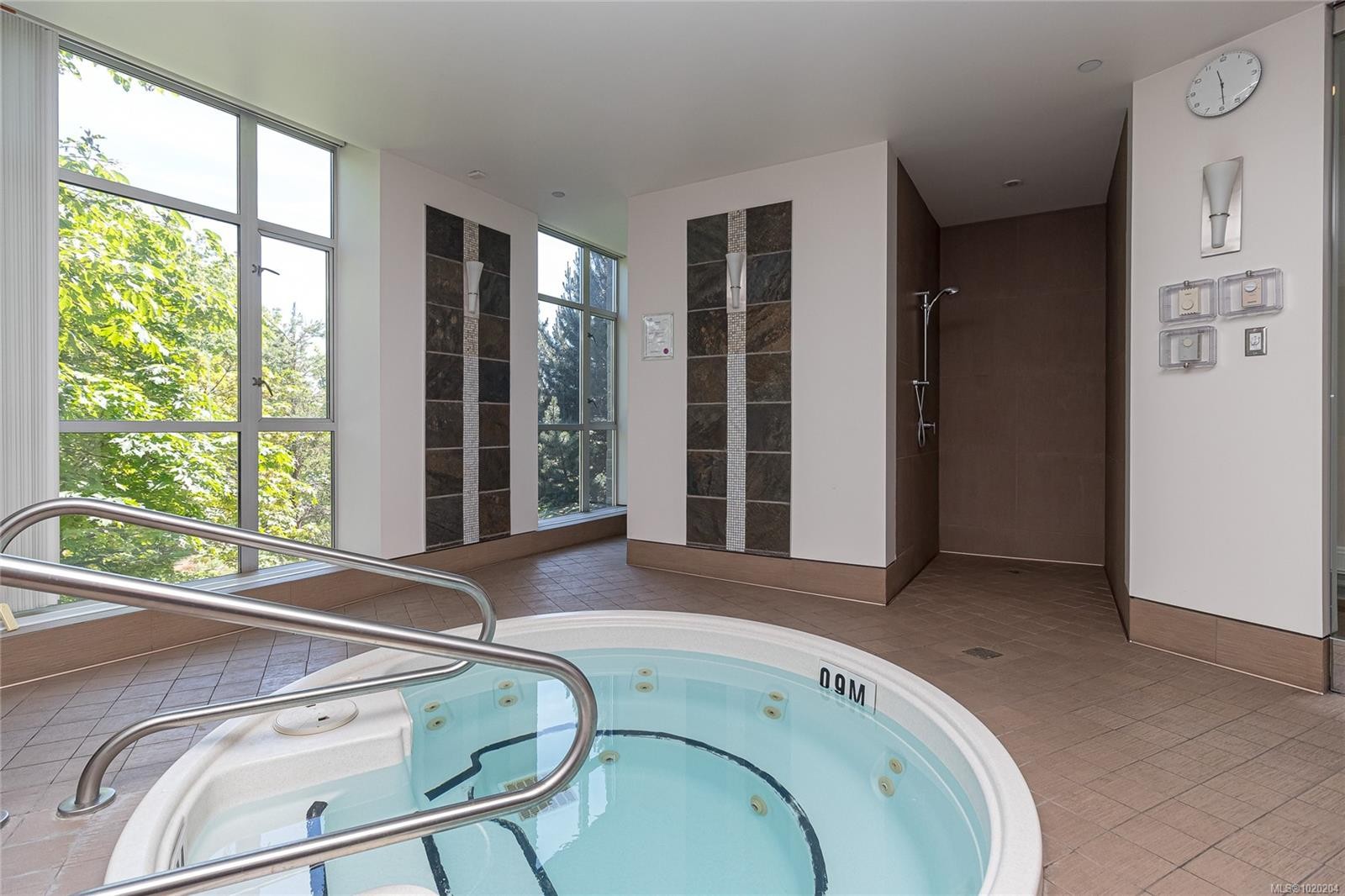 105-100 Saghalie Rd, Victoria, BC - Indoor Photo Showing Other Room With In Ground Pool