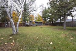 looking from the house to towards the backyard -