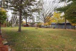 large backyard with mature shade trees -