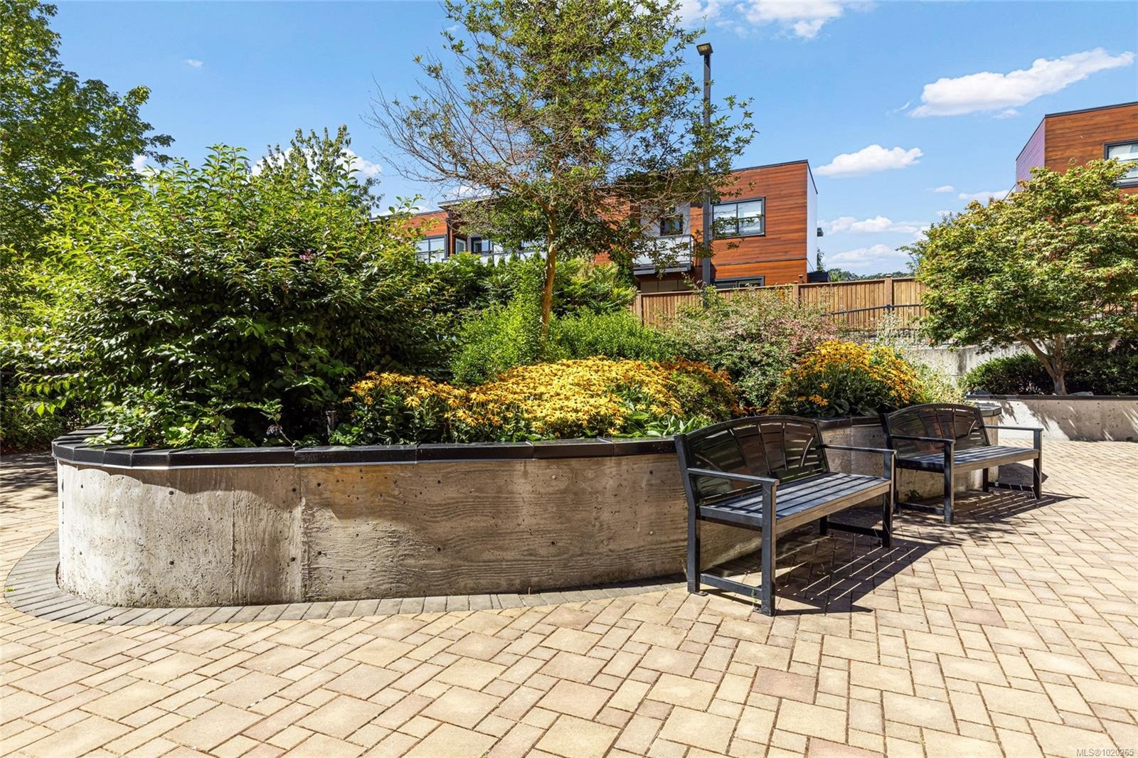 413-4000 Shelbourne St, Saanich, BC - Outdoor