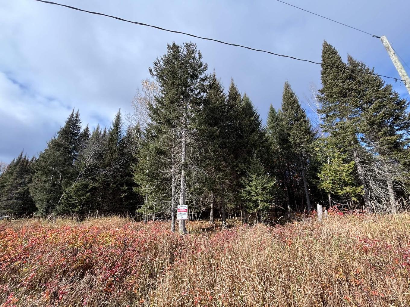 Extérieur - Rue St-Charles-Borromée, Nominingue, QC