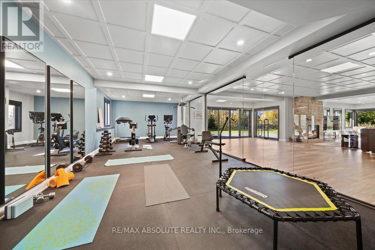 Gorgeous gym surrounded by glass walls! - 131 Cherryhill Drive, Ottawa, ON - Indoor Photo Showing Gym Room