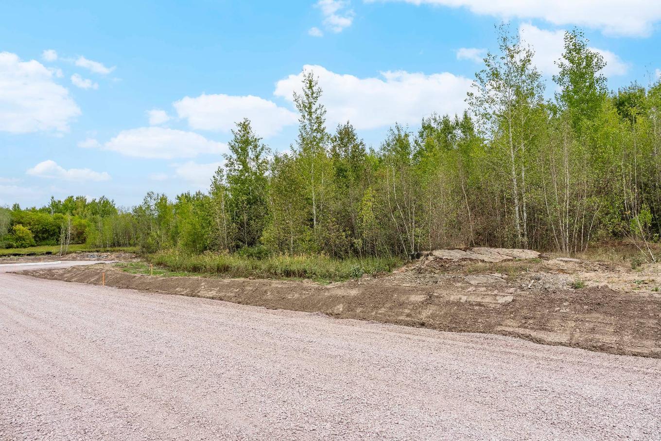 Land/Lot - 24-Rue Fréchette, Granby, QC