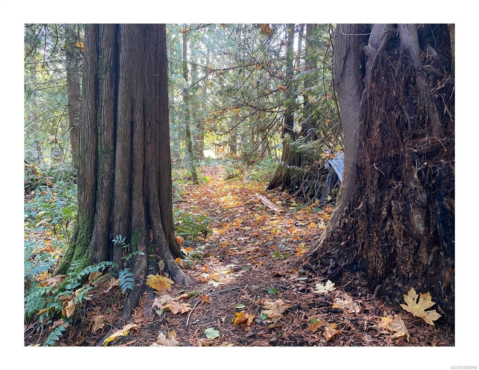 1007 Cedarwood Pl, Cobble Hill, BC