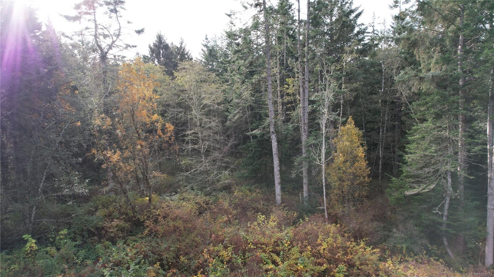 7093 West Coast Rd, Sooke, BC