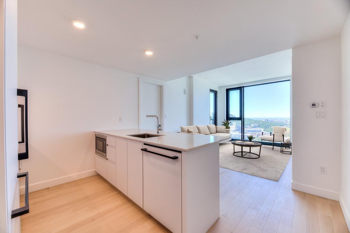 Kitchen - 5106-1245 Rue De Bleury, Montréal (Ville-Marie), QC - Indoor Photo Showing Kitchen