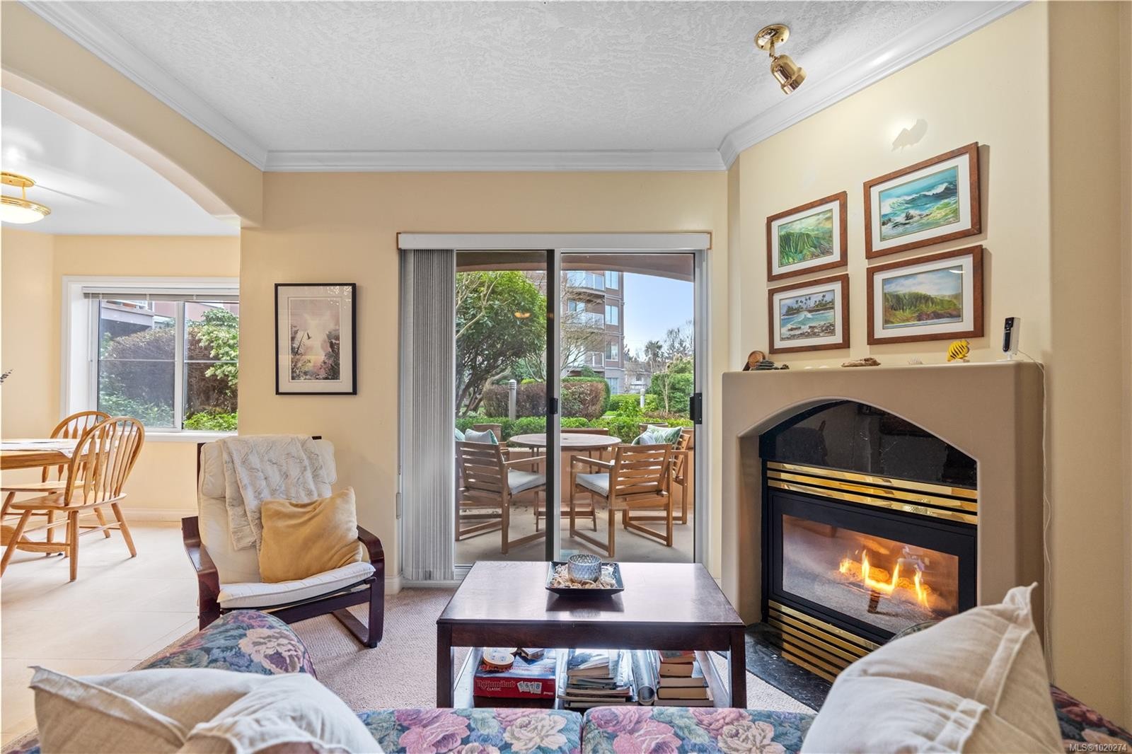 102-405 Quebec St, Victoria, BC - Indoor Photo Showing Living Room With Fireplace