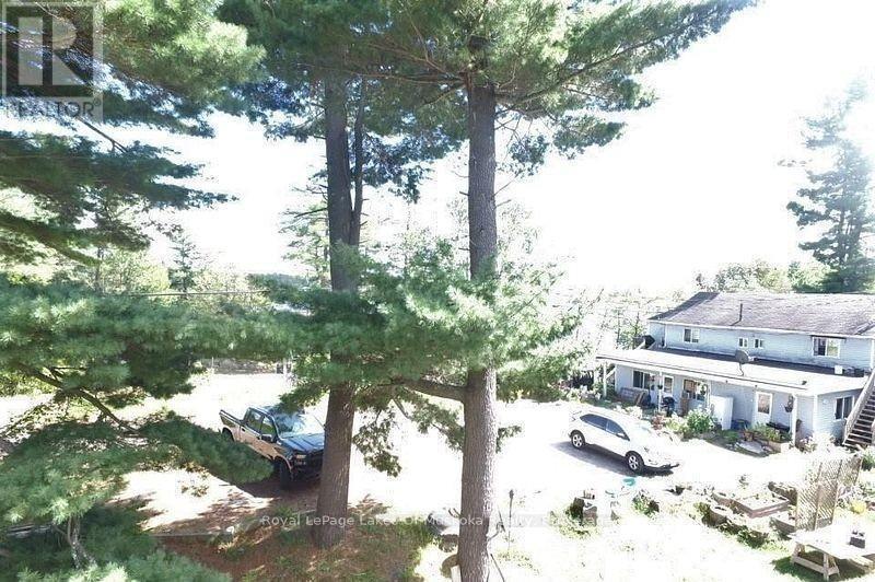 4019 Muskoka 169 Road, Muskoka Lakes (Medora), ON - Outdoor