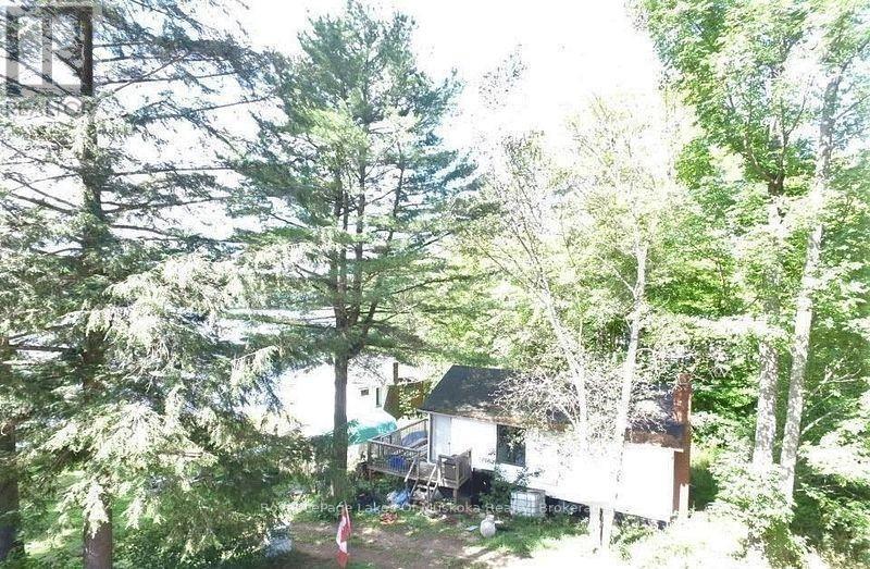 4019 Muskoka 169 Road, Muskoka Lakes (Medora), ON - Outdoor