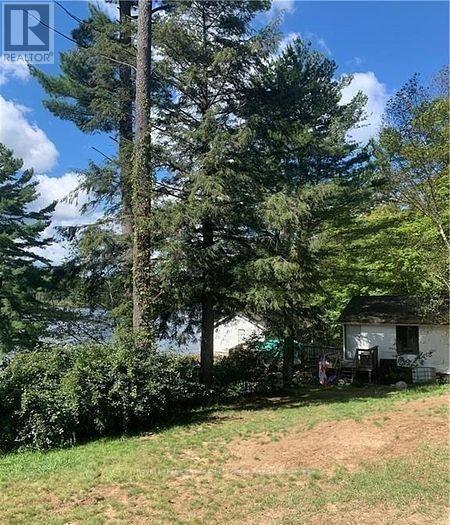 4019 Muskoka 169 Road, Muskoka Lakes (Medora), ON - Outdoor