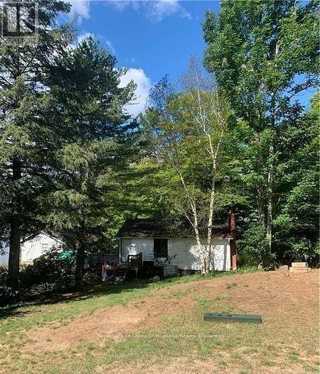 4019 Muskoka 169 Road, Muskoka Lakes (Medora), ON - Outdoor
