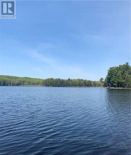 4019 Muskoka 169 Road, Muskoka Lakes (Medora), ON - Outdoor With Body Of Water With View