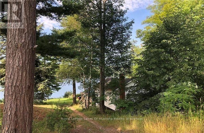 4019 Muskoka 169 Road, Muskoka Lakes (Medora), ON - Outdoor