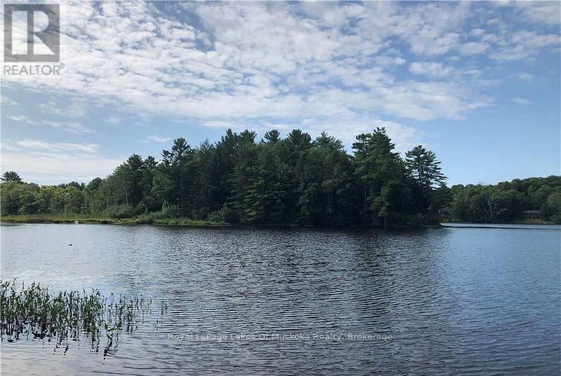 4019 Muskoka 169 Road, Muskoka Lakes (Medora), ON - Outdoor With Body Of Water With View