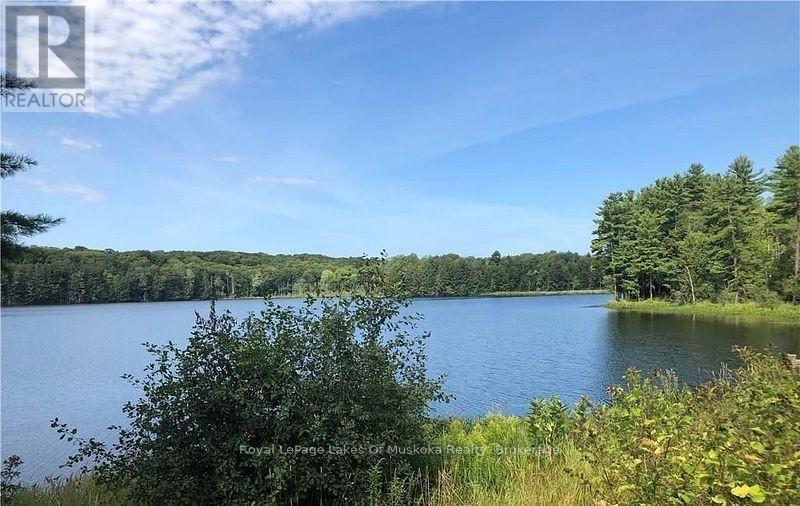 4019 Muskoka 169 Road, Muskoka Lakes (Medora), ON - Outdoor With Body Of Water With View