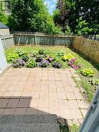 rear yard in Summer -