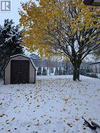 Shed and gate to Millennium trail -