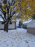 Back of house with Maple tree -