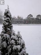 Millennium Trail access from backyard -