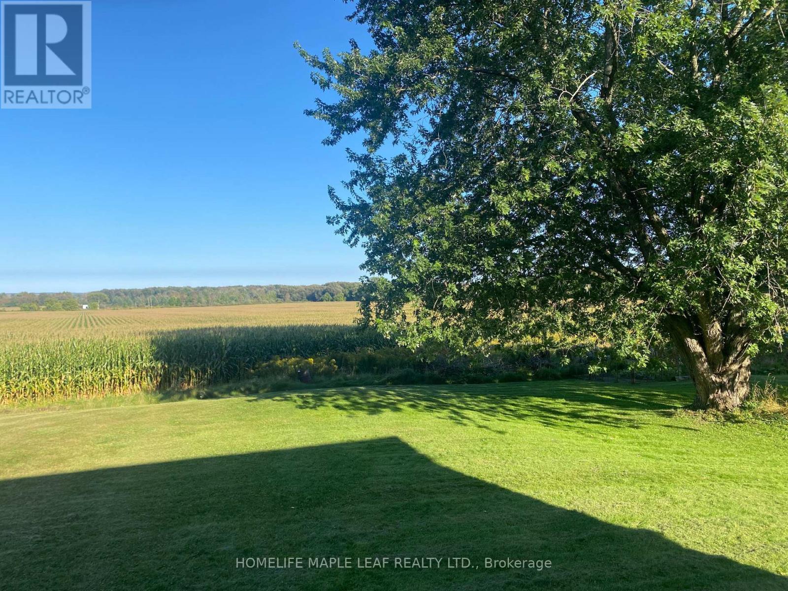 3501 Mccarthy Drive, Clearview, ON