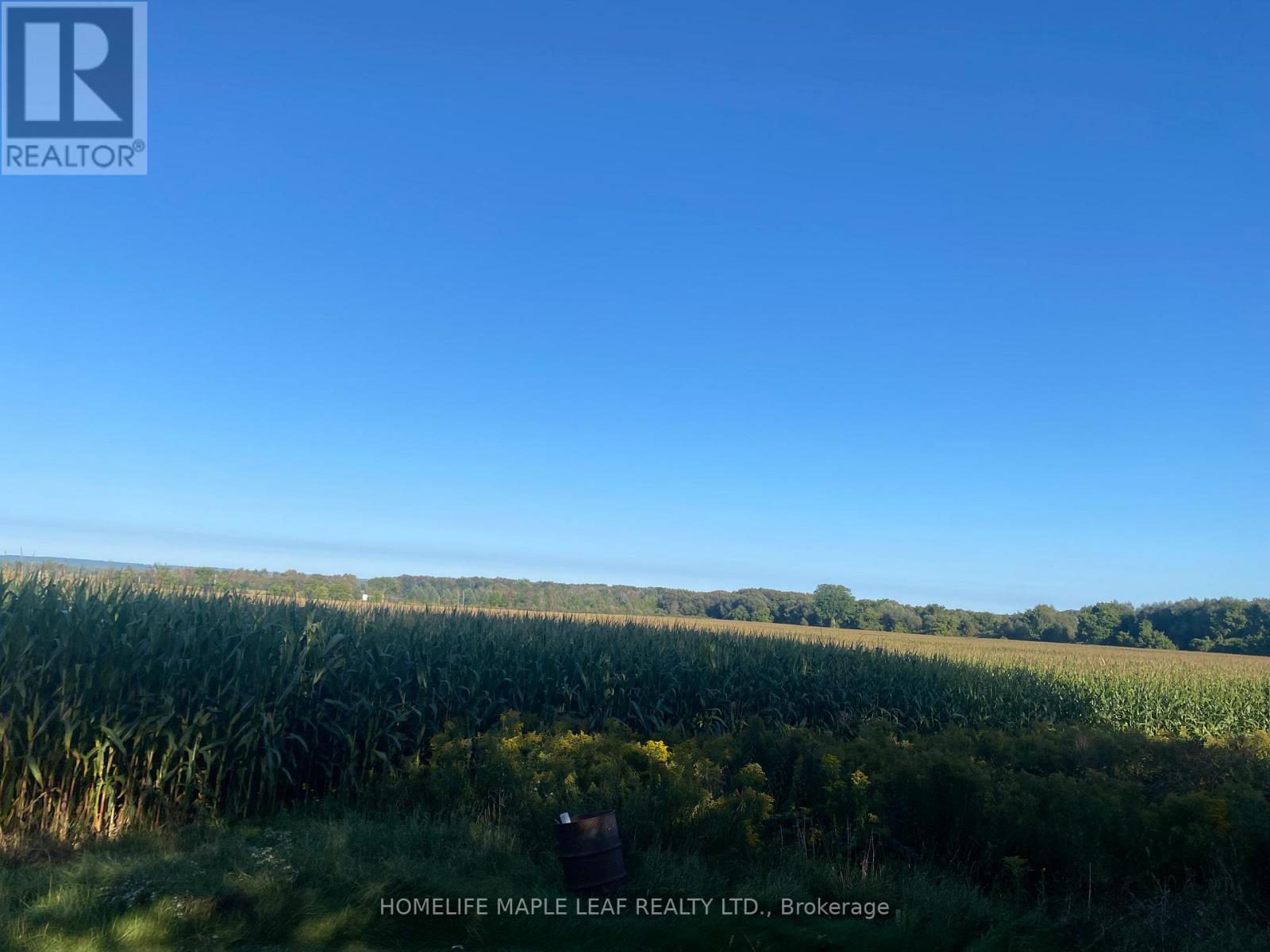 3501 Mccarthy Drive, Clearview, ON