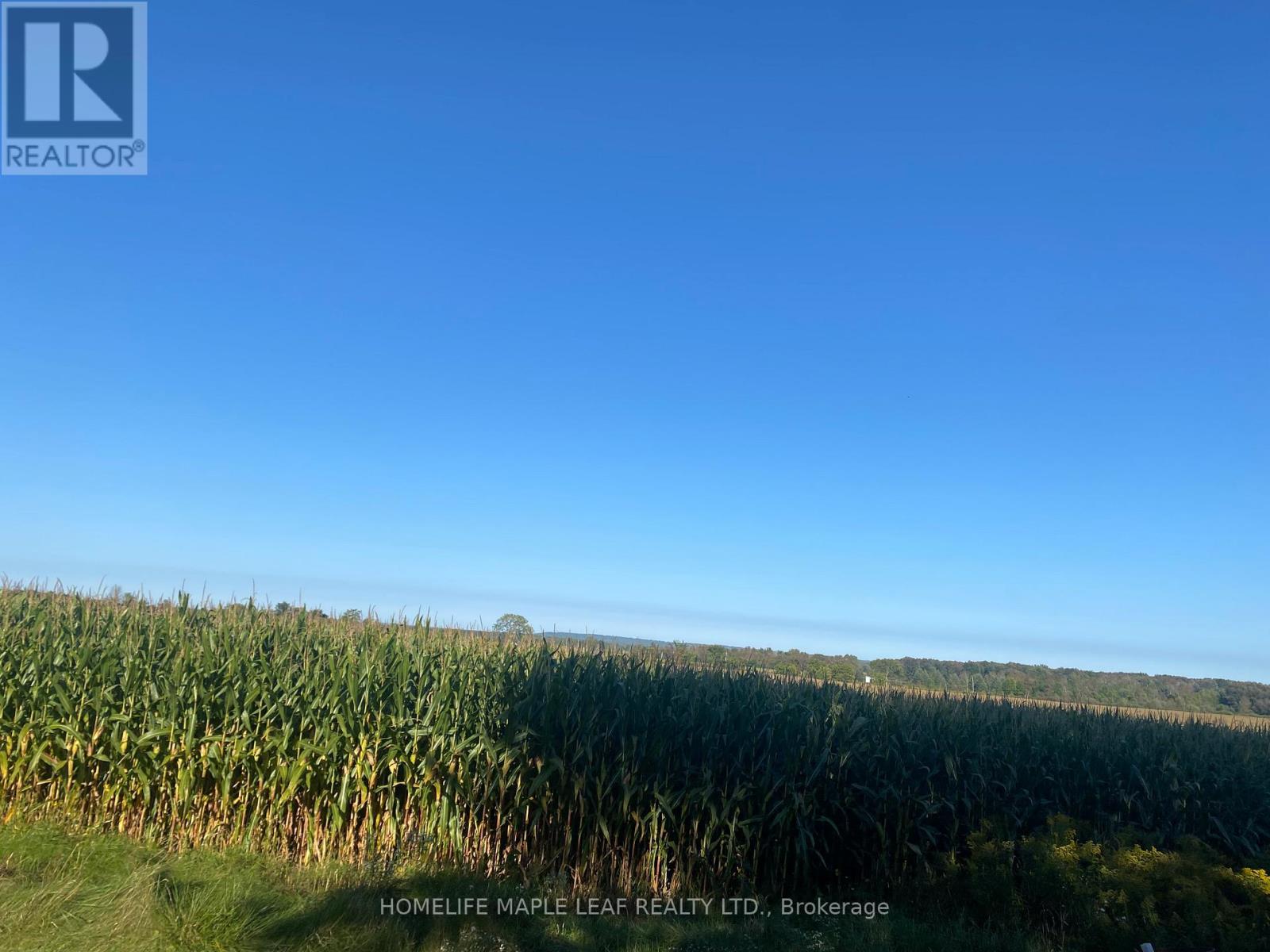 3501 Mccarthy Drive, Clearview, ON