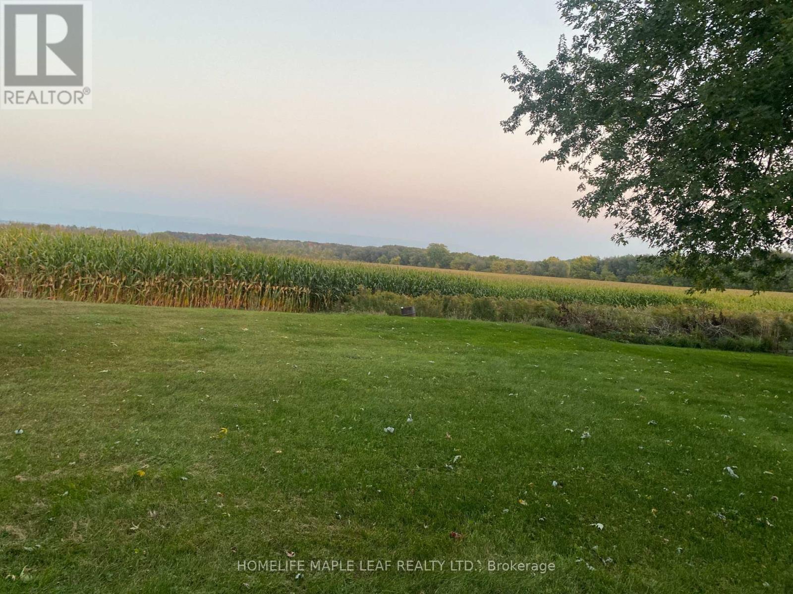 3501 Mccarthy Drive, Clearview, ON