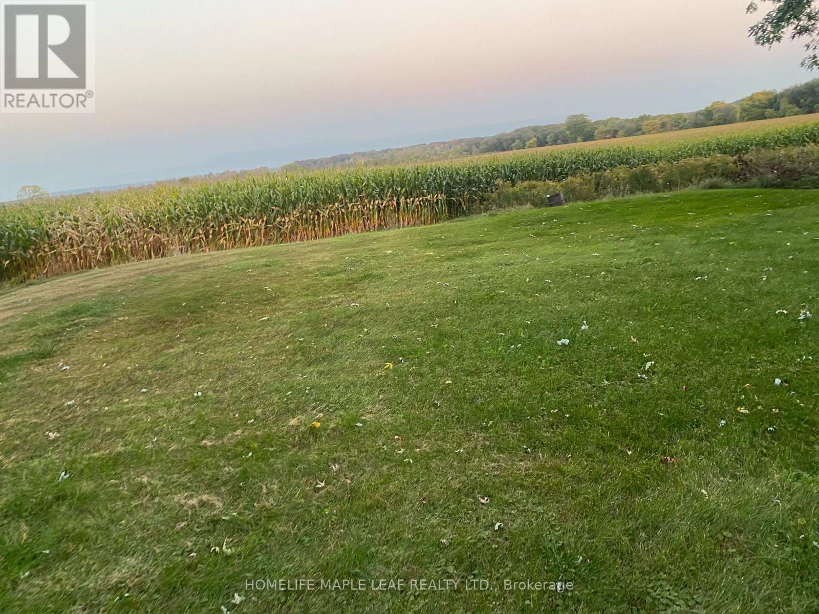 3501 Mccarthy Drive, Clearview, ON