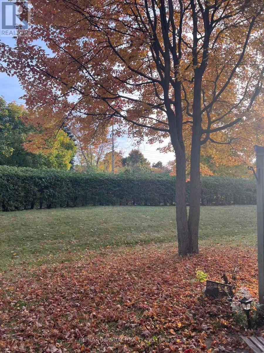 Upper - 1986 John Street, Markham, ON - Outdoor With View