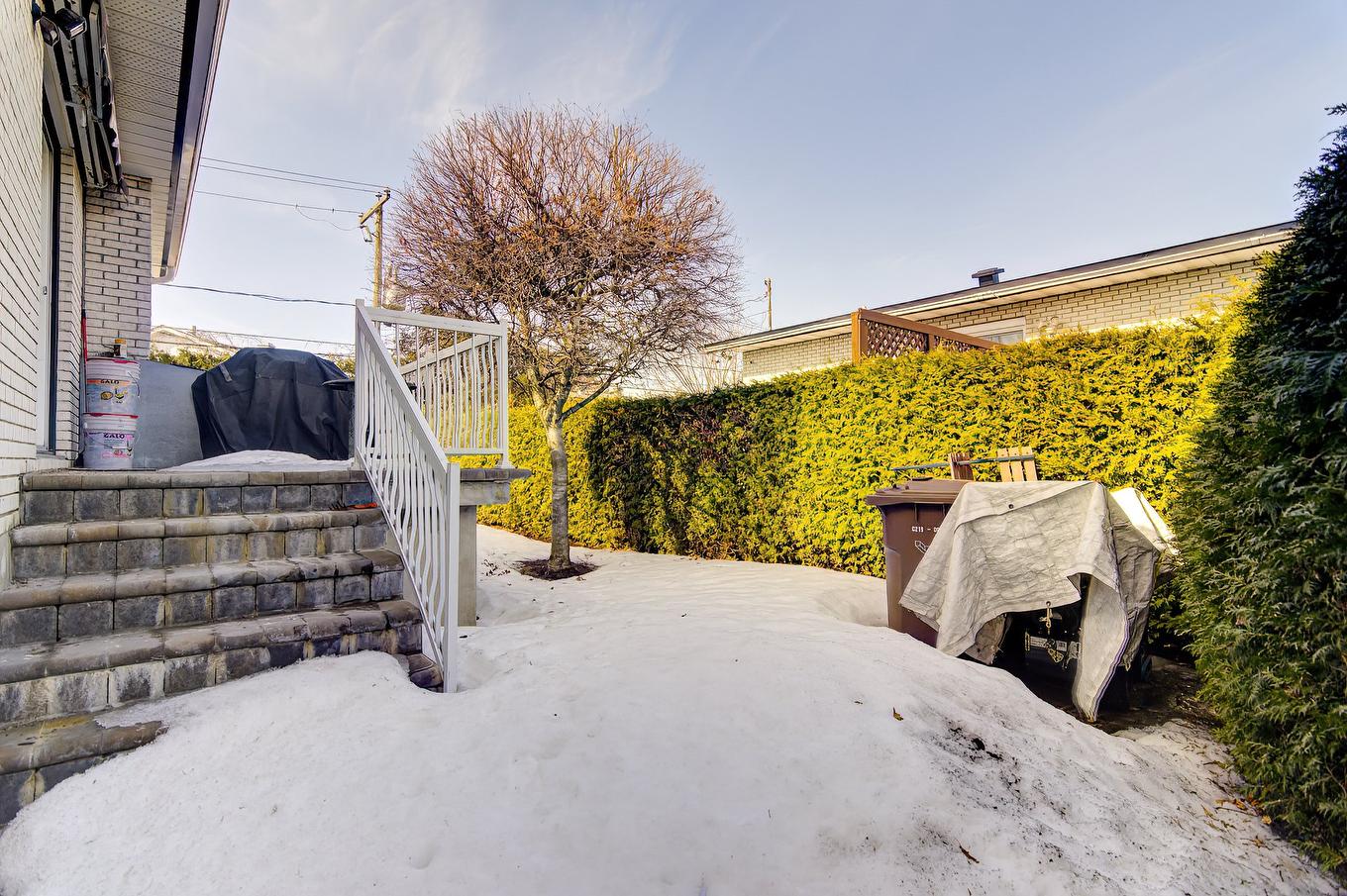 Backyard - 1560 Rue Trépanier, Laval (Chomedey), QC - Outdoor