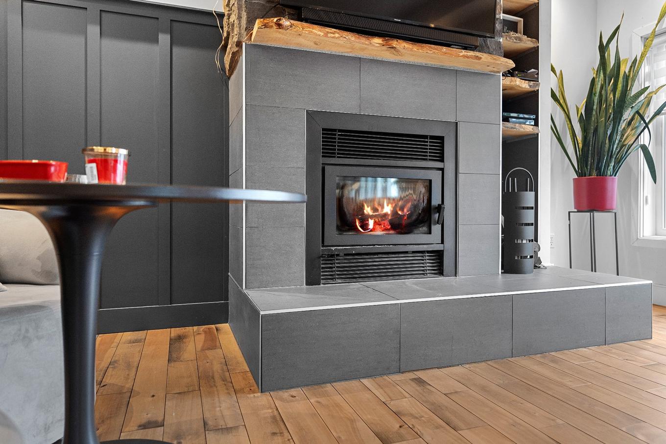 Living room - 68 Rue Buteau, Lévis (Les Chutes-De-La-Chaudière-Ouest), QC - Indoor With Fireplace