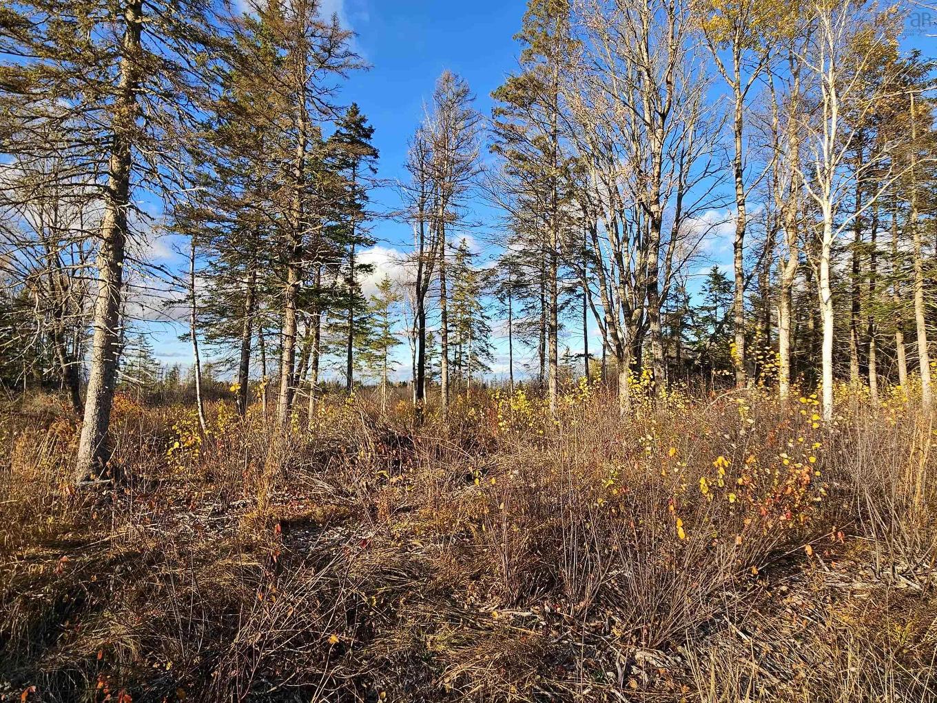 1371 Mines Road, Fenwick, NS