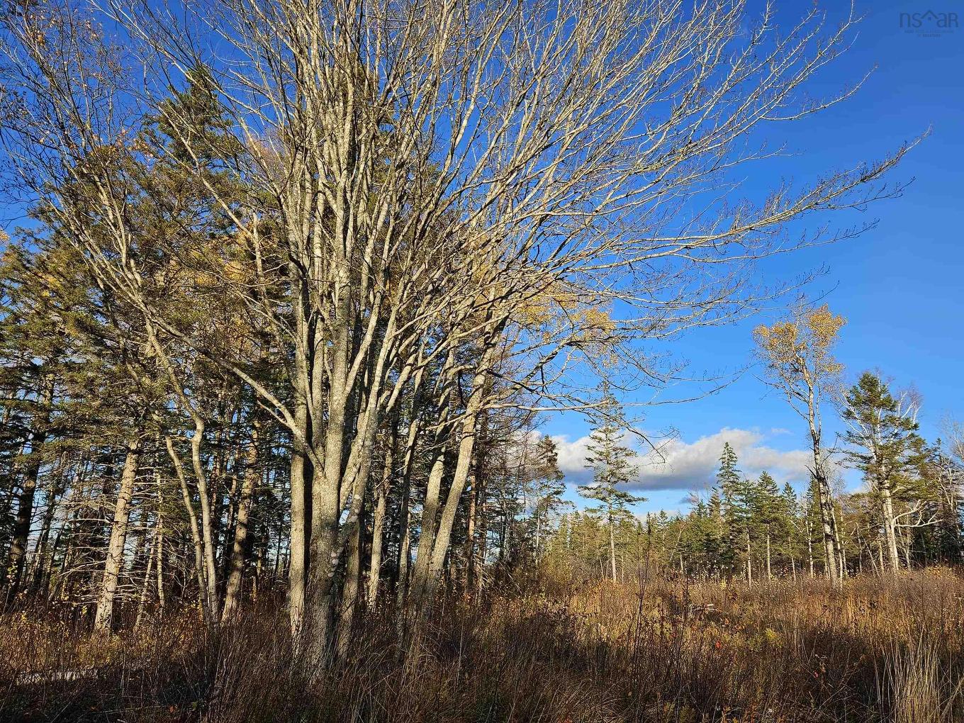 1371 Mines Road, Fenwick, NS