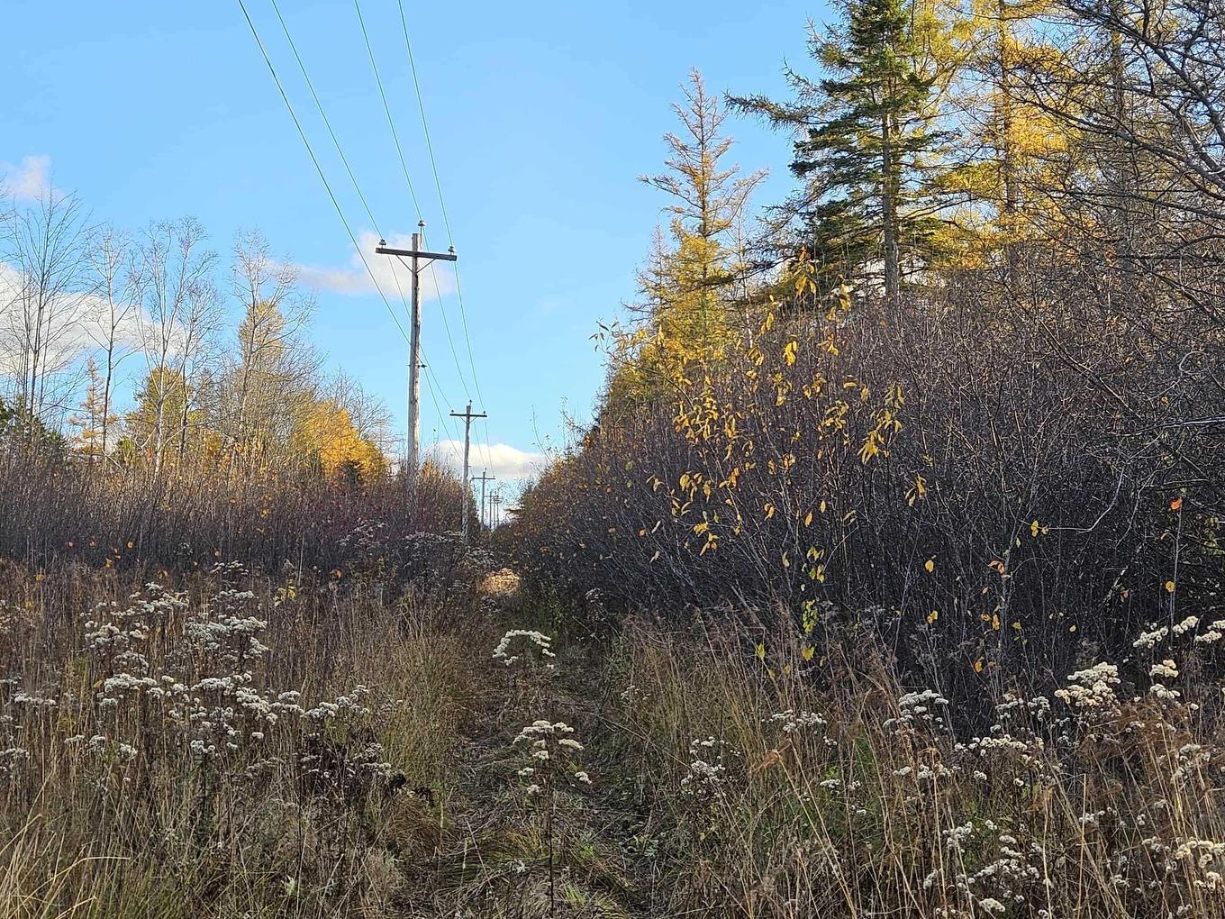 1371 Mines Road, Fenwick, NS