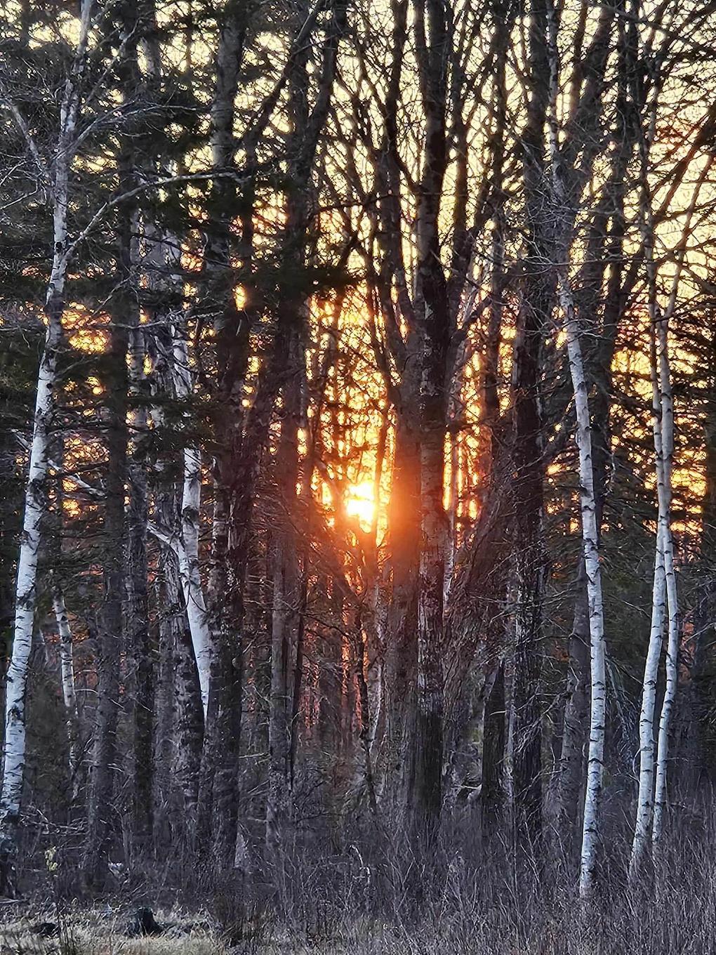 1371 Mines Road, Fenwick, NS