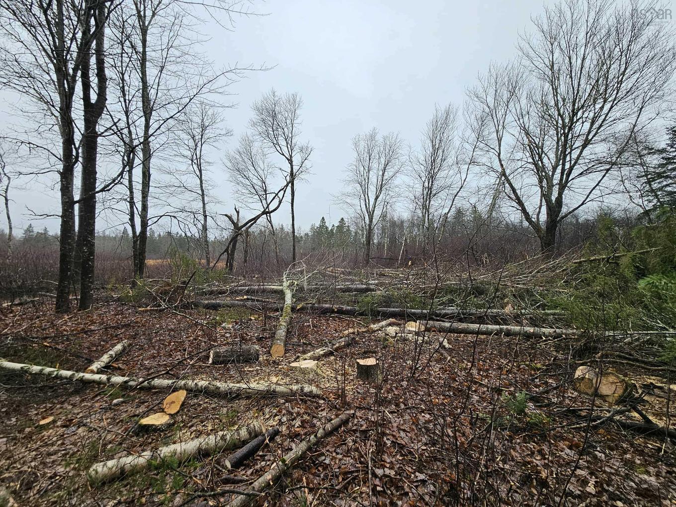 1371 Mines Road, Fenwick, NS