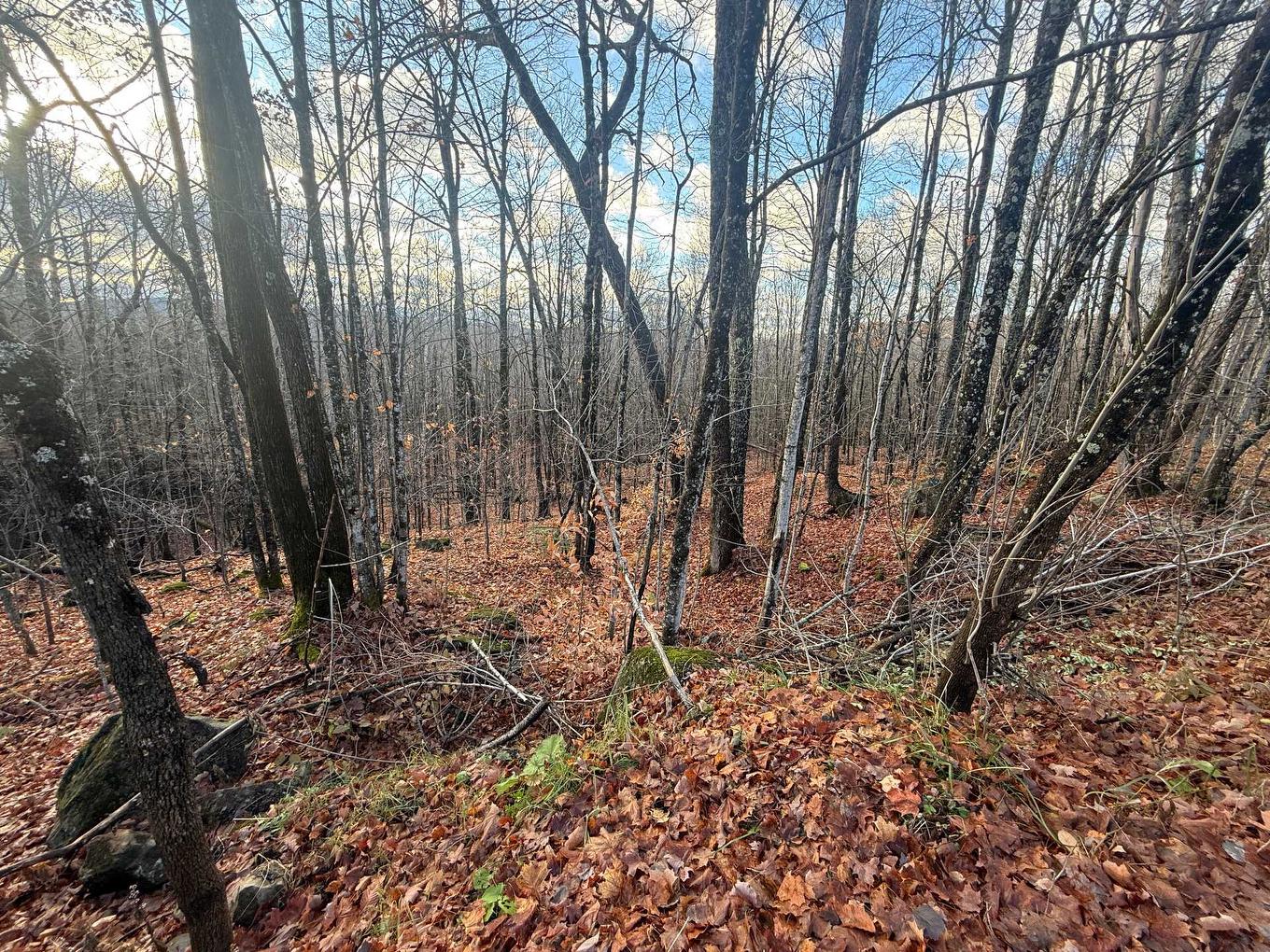 Vue d'ensemble - Rue Du Mont-Plaisant, Morin-Heights, QC