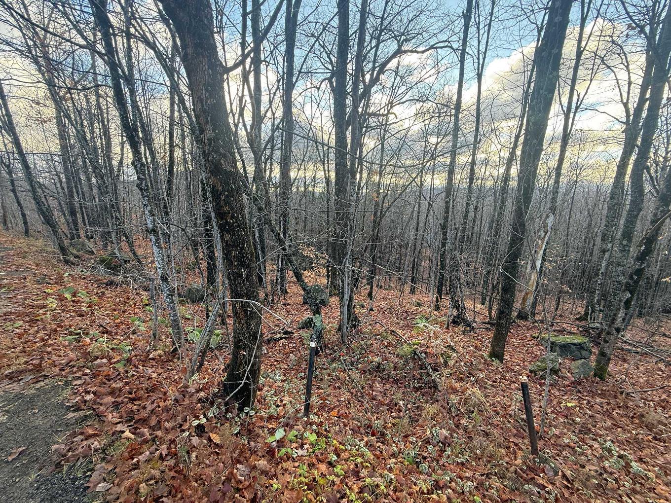 Vue d'ensemble - Rue Du Mont-Plaisant, Morin-Heights, QC